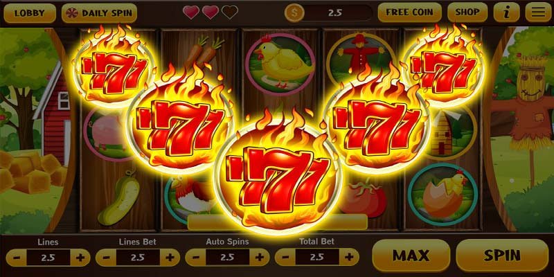 bd71 betting guide overview designed for mobile readers in Bangladesh